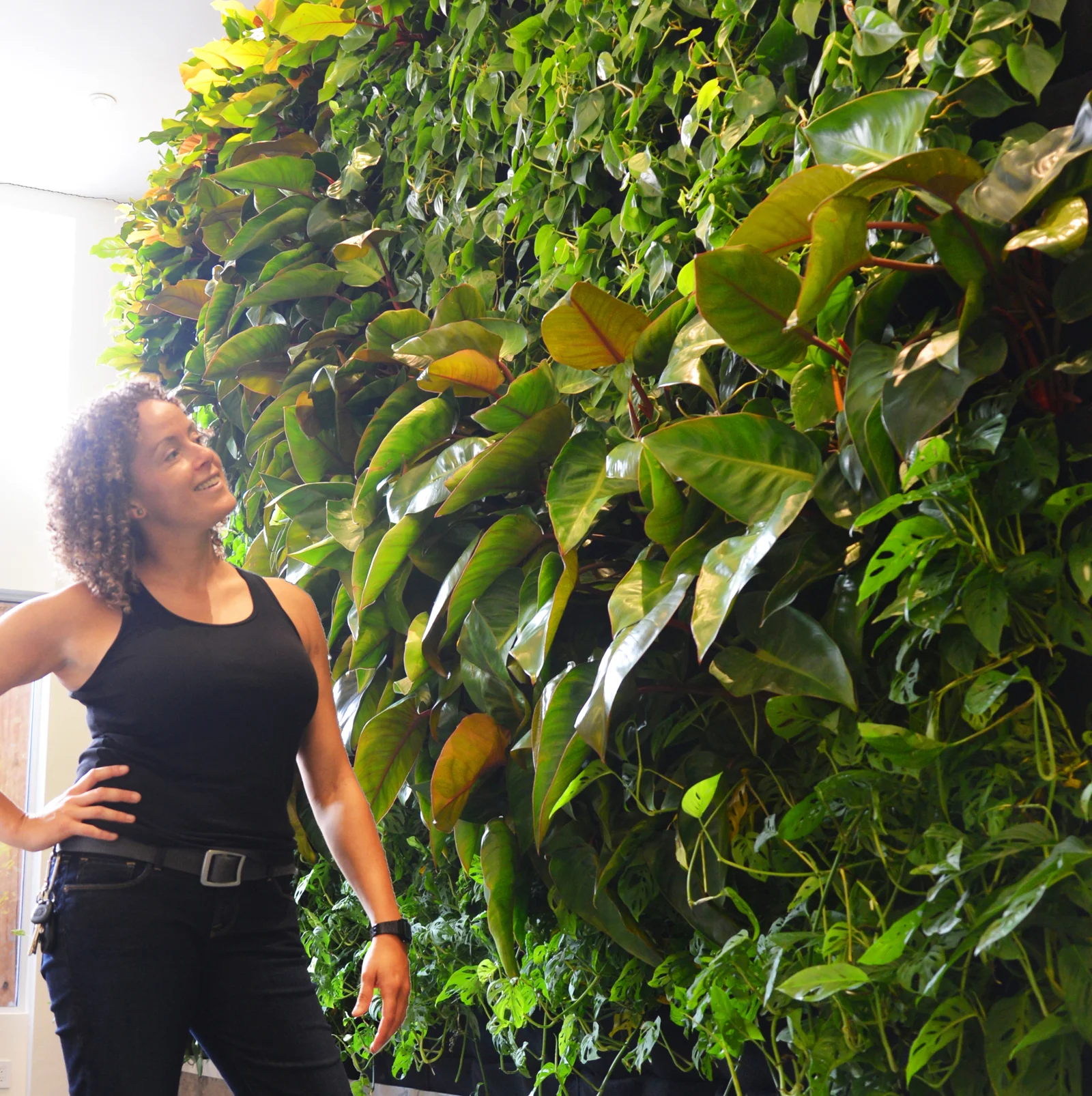 Green Wave Vertical Garden — Florafelt Living Wall Systems